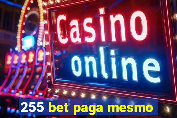 255 bet paga mesmo